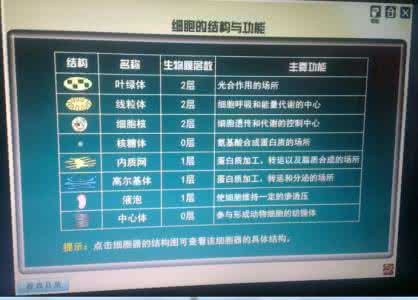 初中语文教学模式 初中语文阅读 刍议初中语文阅读信息化教学模式