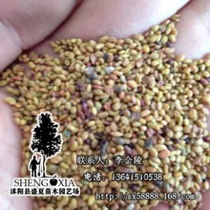 胡萝卜种子价格 胡萝卜种子 胡萝卜种子价格