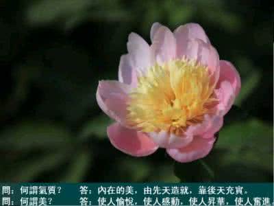 人与人对话作文 最精彩的對話:人与人生