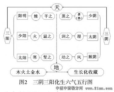 人体脏腑结构位置图片 从自然的三阴三阳类推人体脏腑