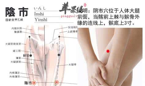 大补阴丸的功效与作用 按摩阴市穴的作用与功效