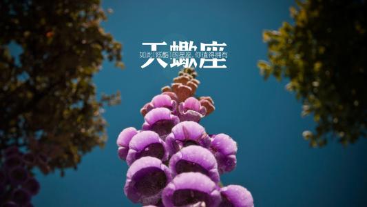 美好桂花星座 如果不爱你 这些星座如果不爱你,你美出花也没有用