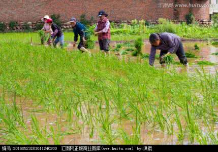 北京林业大学 林业劳动