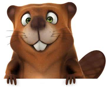 忙碌海狸函数 忙碌的海狸 拒绝多心 不做忙碌的海狸