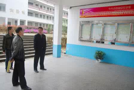 校园文化建设领导小组 茶阳镇小校园文化建设评估细则