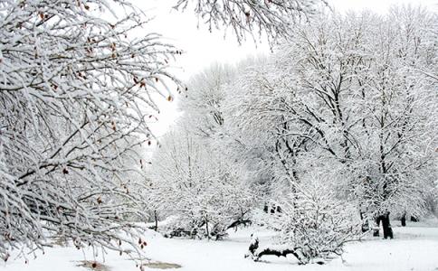 岑参写雪的诗 唐代著名诗人岑参 岑参写雪的诗是什么 岑参写雪的诗