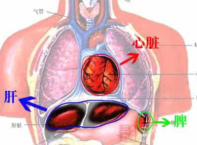 脾阳虚 脾虚废一半 脾虚折寿一半 虚不虚看这里
