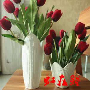 保养车 汽油清洁剂 保养清洁 花器的介绍与选择 如何保养与清洁花器