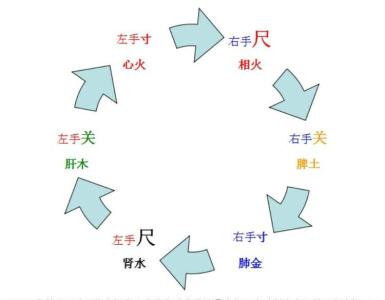 中医脉诊疗法教程大全 寸部脉法大全