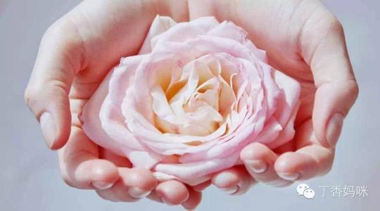 蒸苹果食疗法主要疗效 那些妇科医院疗效好 “娇艳”鲜花食疗 治妇科疾病有神奇疗效