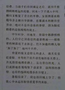 寻的作文800字 寻作文500字
