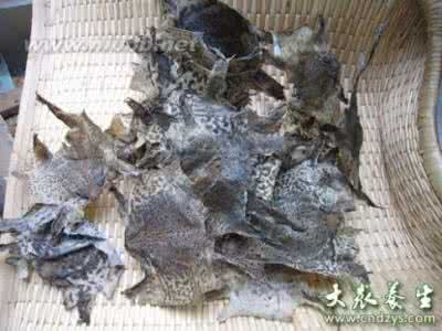 蟾蜍入药 活蟾蜍入药治疗肺癌广泛转移