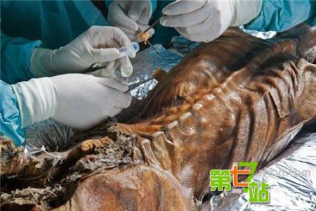 肉身不腐之谜 去世百年容颜依旧 传奇人物肉身不腐之谜