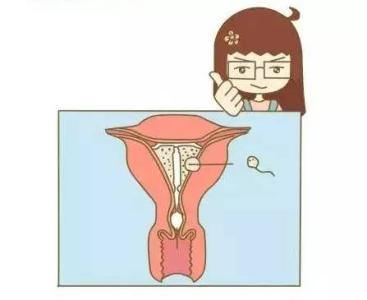 民间土办法紧急避孕 男女爱爱过后紧急避孕有哪些办法