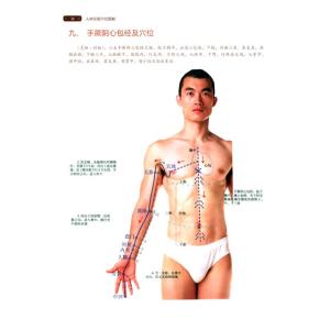 真人经络穴位讲解 人体经络穴位取穴真人讲解
