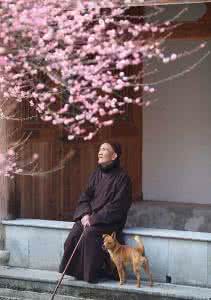 落英缤纷造句 落英缤纷造句 下面语段中划线处有语病，请按要求修改或指出病因。我爱读陶渊明的《桃花源记》。