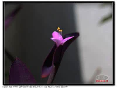 拍摄大型活动摄影照片 【摄影点滴】如何让你拍摄的照片有温度？