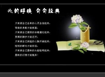 就是心的呼唤 心的呼唤《图文经典》