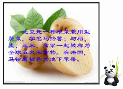 会说话的马铃薯 为马铃薯说句公道话