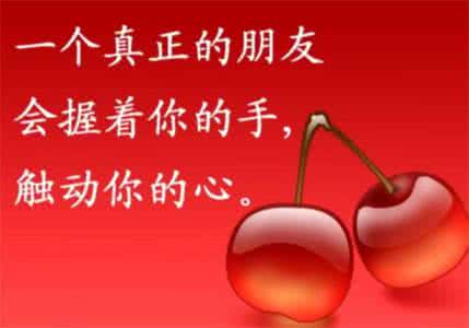 三邦车视欧美精典 人生感悟精典篇