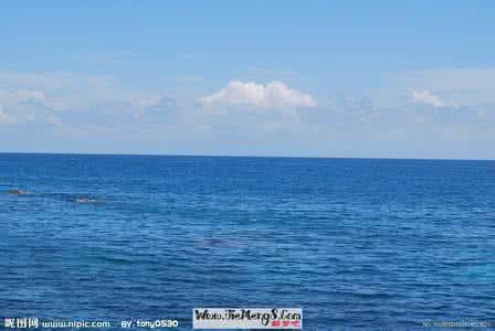 梦见大海 梦见大海 梦见大海_梦见大海