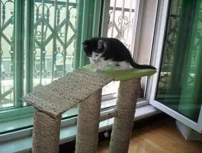 木工机械找茹枫机械 其实不难，你也可以当木工，自己动手DIY个沙发