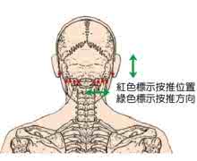 张钊汉头部原始点手法 03.头部原始点【视频、手法、工具、适应症】