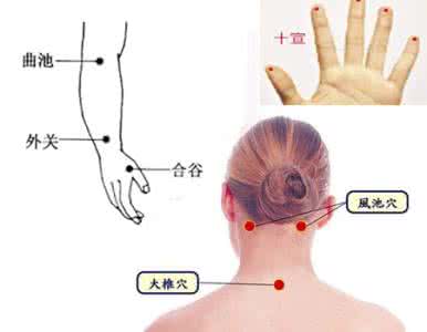 中医常识 穴位帮你快速退烧