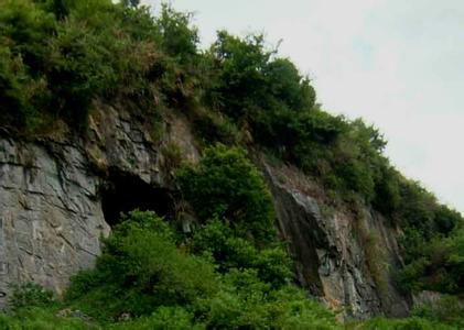 咏花果山水帘洞 洞山十咏·老梅岩