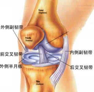 膝盖内侧疼痛的原因 膝盖内侧疼痛的原因 摆脱膝盖疼痛的噩梦
