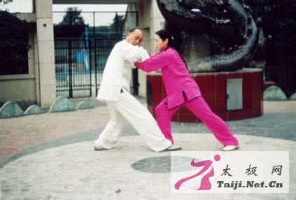 杨式太极拳推手 《打手歌》在太极拳推手锻炼中的一个典型例证(魏坤梁)