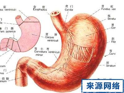 胆汁反流胃炎小妙招 摆脱胆汁反流性胃炎折磨，中医有妙招