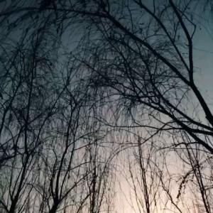 七绝初春原文翻译 【原】伤春/叹暮春(七绝)
