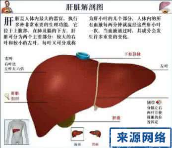 肝硬化早期症状及表现 肝硬化早期症状及表现 肝硬化都有什么症状 肝硬化的症状及表现