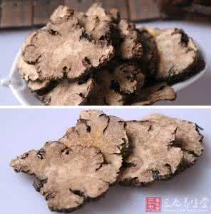 川芎 头痛 治疗头痛的中药 中药川芎治疗头痛的常用药对