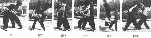 洪洞通背拳 洪洞通背拳三十六跌摔技法(一）