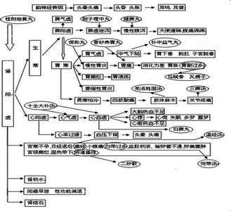 中医疾病鉴别诊断学 中医祖传绝技之七疾病分类与鉴别诊断1