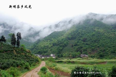 中国名茶之乡 中国极品名茶之乡——黄山区