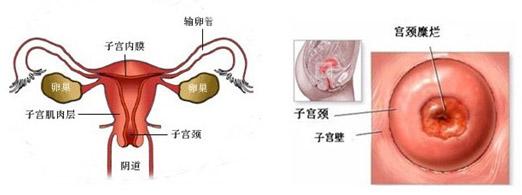 常见的教学方法有哪些 常见的教学方法有哪些 常见的性生活方法有哪些