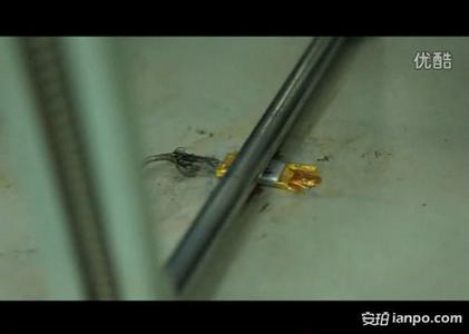 测试你的政治倾向 测试 你有性虐待倾向吗?