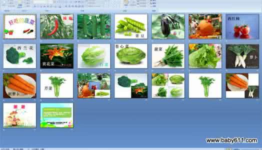 幼儿园大班语言优质课 幼儿园大班科学优质课教案：蔬菜题库