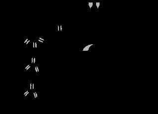 胰高血糖素调节血糖 人体如何调节血糖浓度