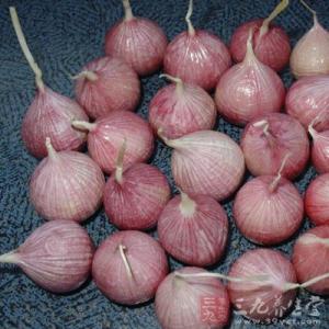 独头蒜 独头蒜抗癌效果更佳