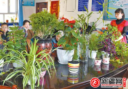 家庭养花大全 《家庭养花专家门诊》(陈有根.蔡幼华)