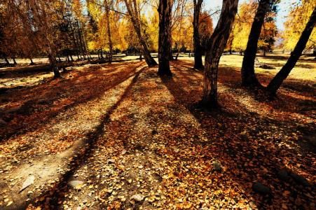 官场红颜顾秋全文阅读 读 秋