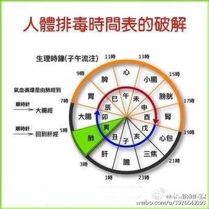 身体排毒器官 春季身体排毒有时间 六器官各有各的讲究