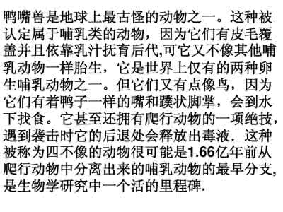 活化石 活化石 活化石作文