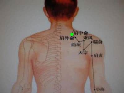 万古天宗 肩中俞、肩外俞、肩髎、天宗、天髎、极泉手六穴