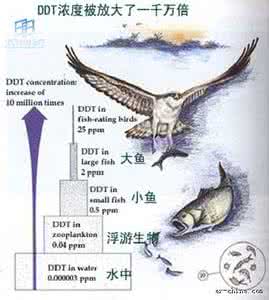 生物半减期名解 生物半减期