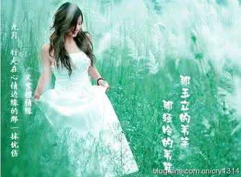 来自风平浪静的明天 九月风静。雨一直在下……